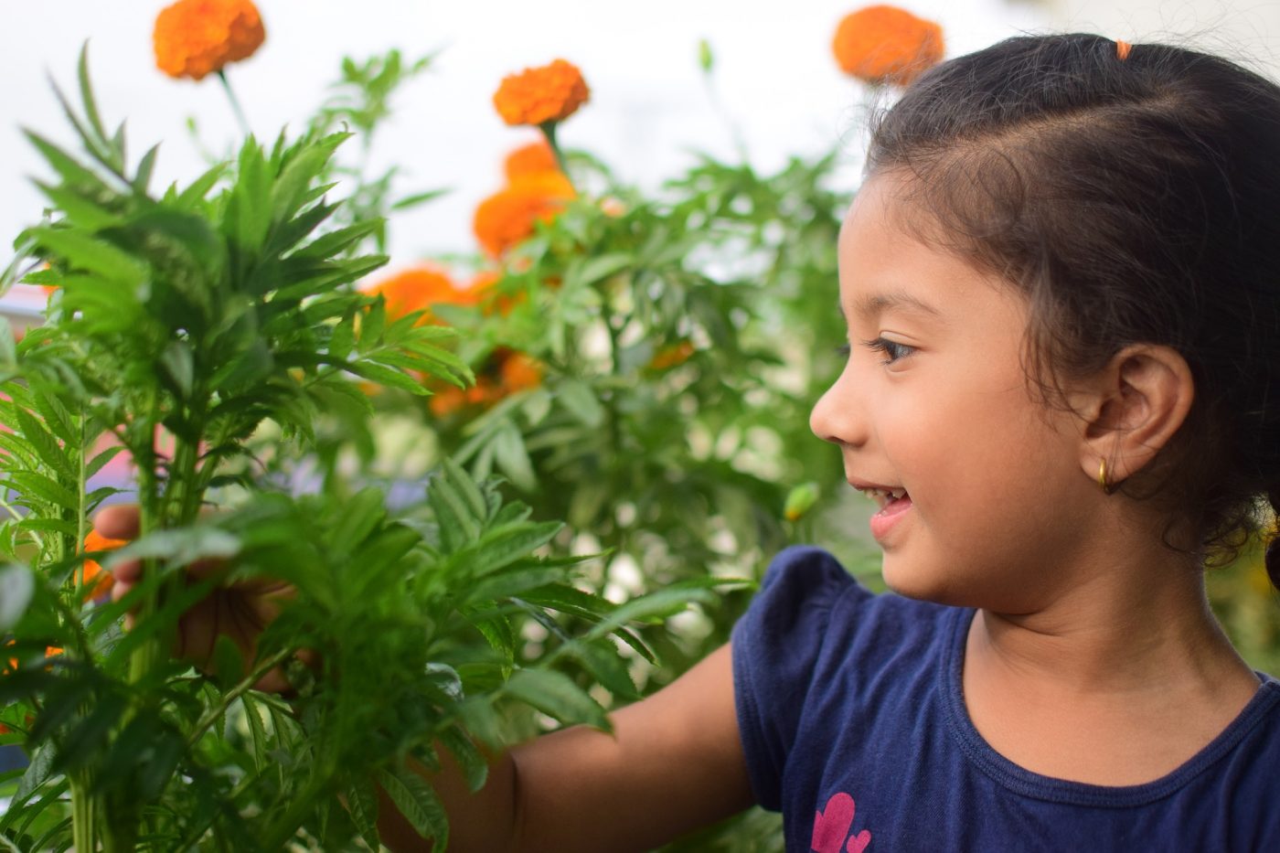 Young girl standing in tall orange flowers